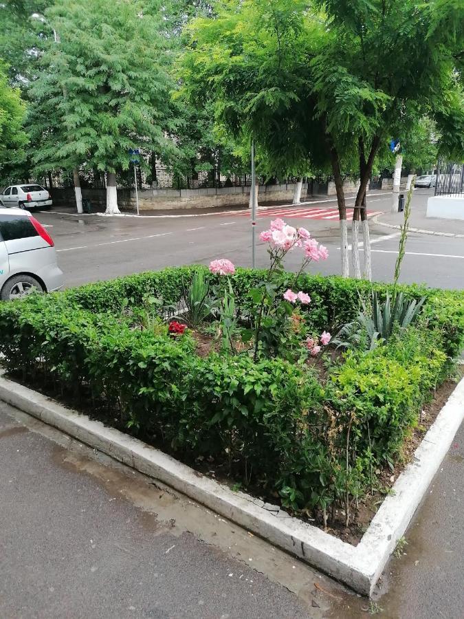Apartamento Mara Studio Constanţa Exterior foto